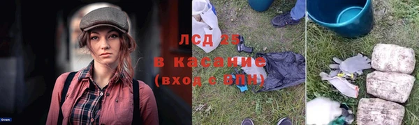 твердый Аркадак