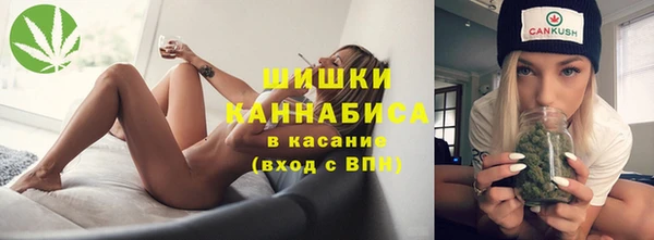 твердый Аркадак