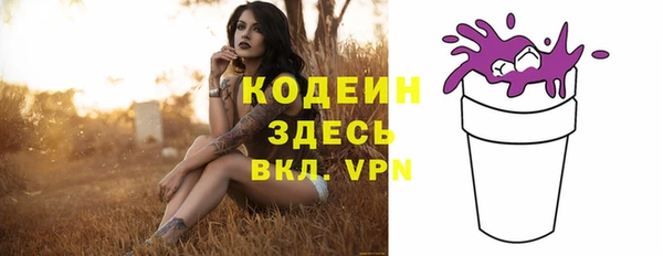 твердый Аркадак