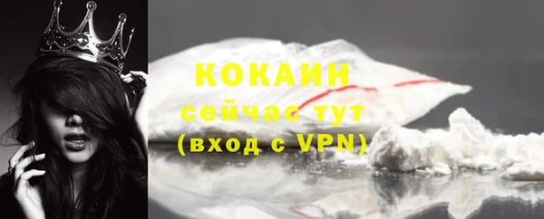 твердый Аркадак