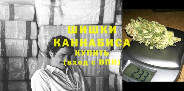 сатива Арсеньев