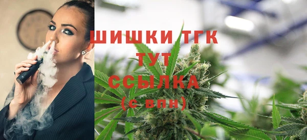 сатива Арсеньев